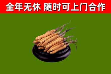 广安市烟酒回收冬虫夏草.jpg