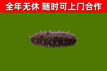 广安市烟酒回收干海参.jpg